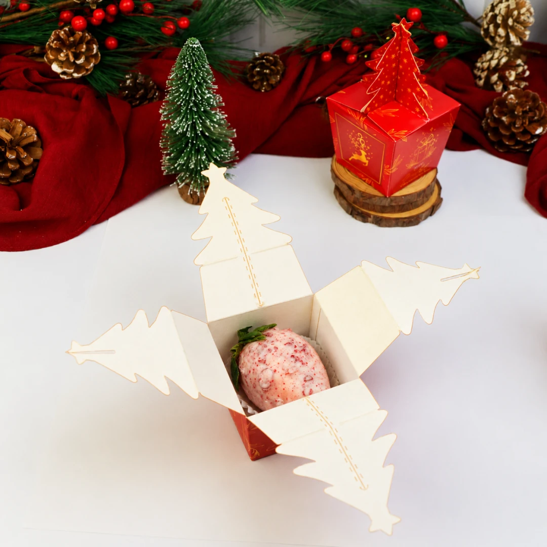 Embalagem de Natal