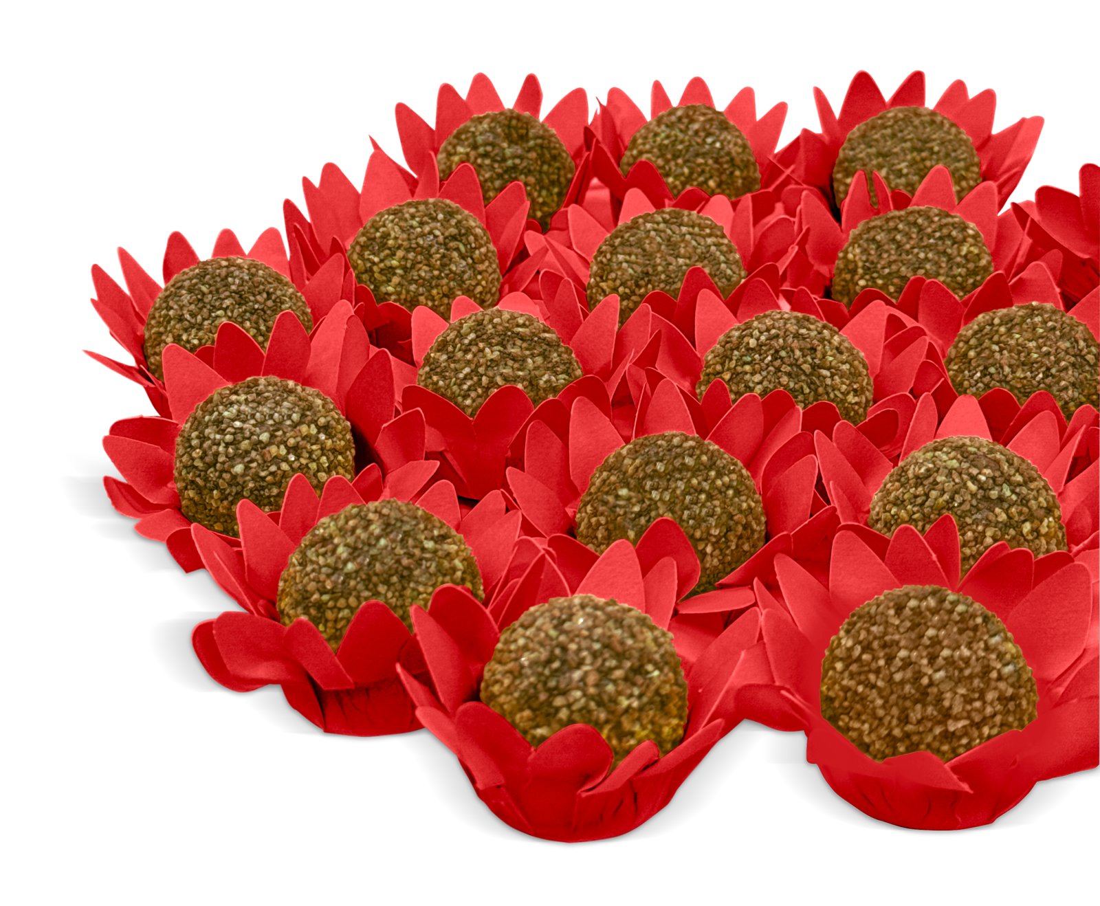 Flor Maya