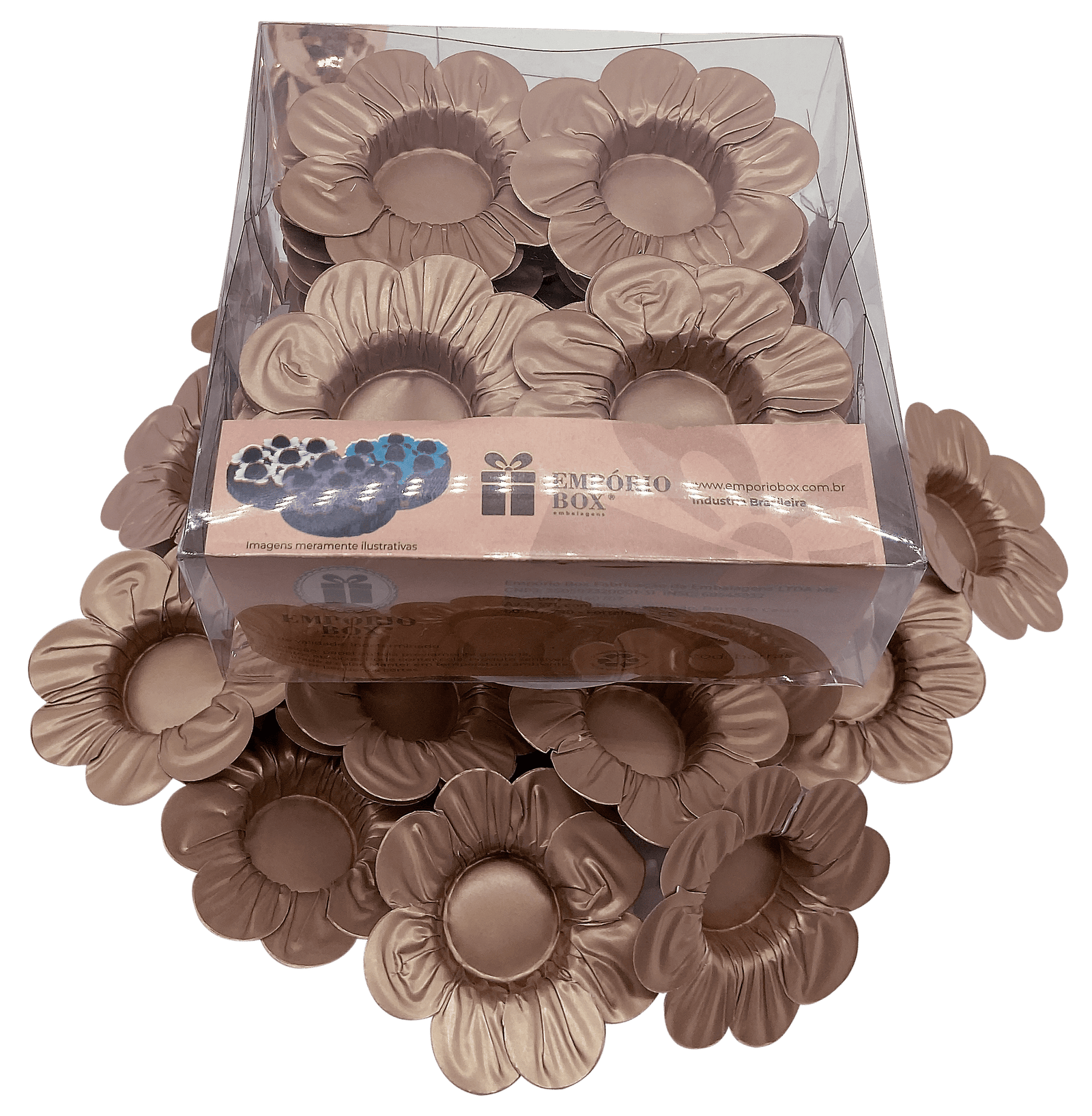 Pétalas de Papel Gloss Brilho